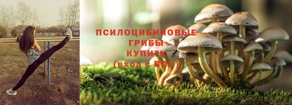 PSILOCYBIN Волоколамск